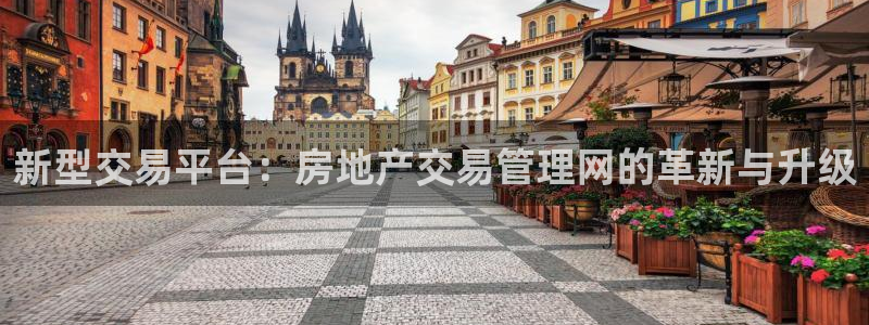 摩登4左7O667：新型交易平台：房地产交易管理网的革新与升