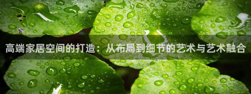 摩登3地7O667：高端家居空间的打造：从布局到细节的艺术与