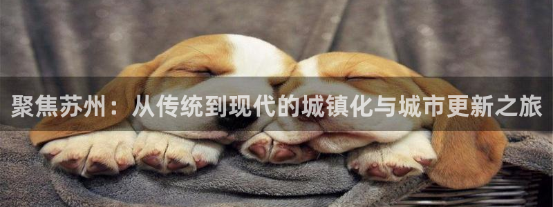 摩登7平台登录网址：聚焦苏州：从传统到现代的城镇化与城市更新