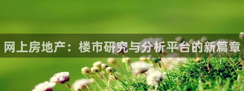摩登6下7O667：网上房地产：楼市研究与分析平台的新篇章