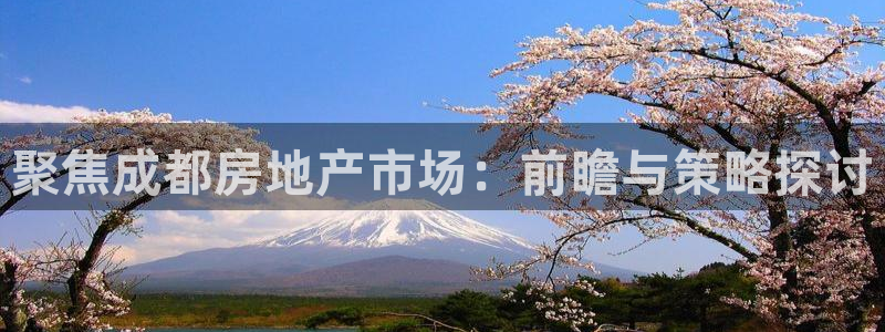 摩登7登陆：聚焦成都房地产市场：前瞻与策略探讨