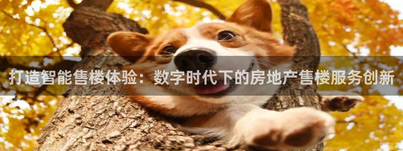 摩登7系列：打造智能售楼体验：数字时代下的房地产售楼服务创新