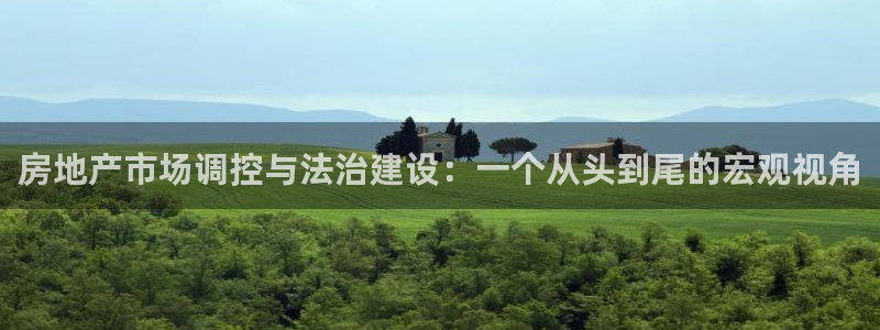 摩登7软件是什么原因：房地产市场调控与法治建设：一个从头到尾
