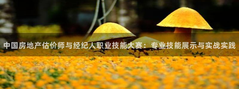 摩登5韩这7O667：中国房地产估价师与经纪人职业技能大赛：