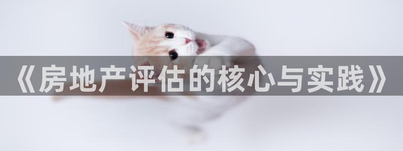 摩登7经3299O7：《房地产评估的核心与实践》