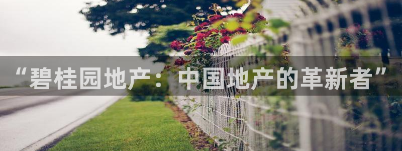 摩登7招商：“碧桂园地产：中国地产的革新者”