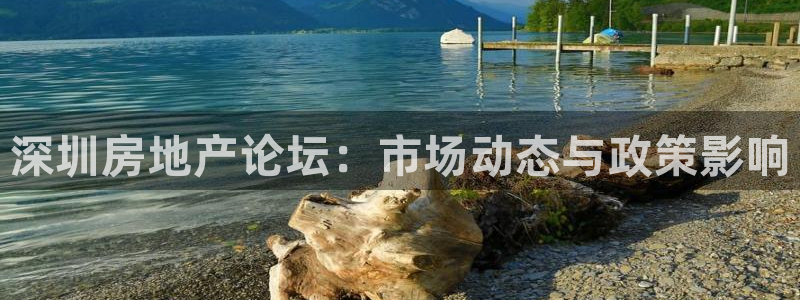 摩登3往找7O667：深圳房地产论坛：市场动态与政策影响