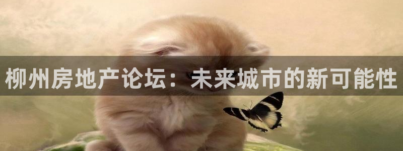 摩登7直属：柳州房地产论坛：未来城市的新可能性