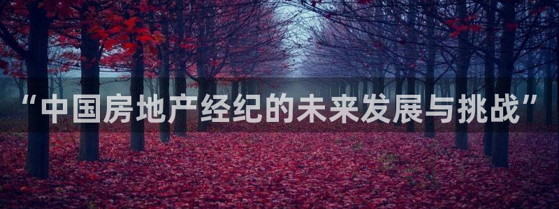 摩登注册型7O777：“中国房地产经纪的未来发展与挑战”