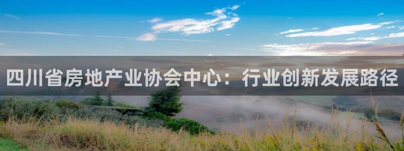 摩登7主管亲333OO：四川省房地产业协会中心：行业创新发展