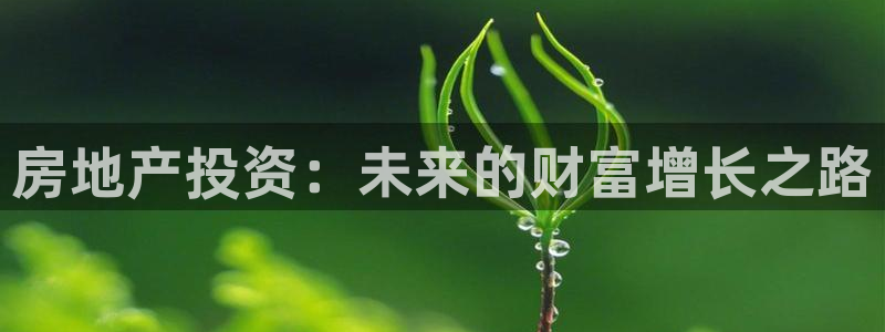 摩登7上：房地产投资：未来的财富增长之路