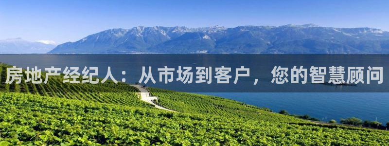 摩登7服333OO：房地产经纪人：从市场到客户，您的智慧顾问