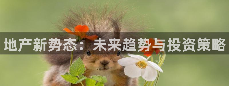 摩登7平台主管：地产新势态：未来趋势与投资策略