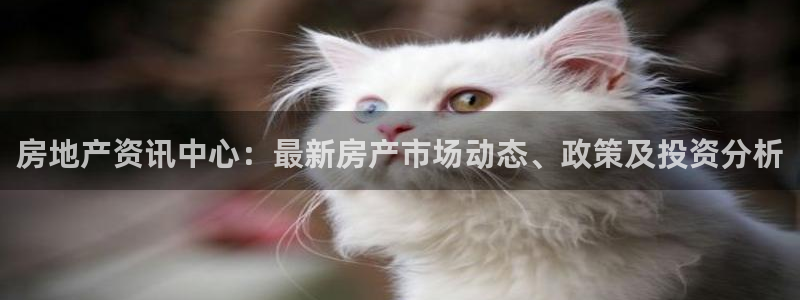 摩登5张7O667：房地产资讯中心：最新房产市场动态、政策及