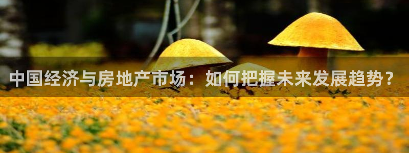 摩登7平台登录网址：中国经济与房地产市场：如何把握未来发展趋