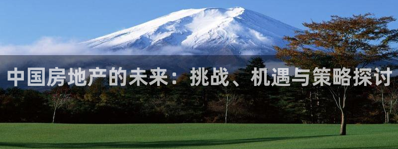 摩登7平台382223：中国房地产的未来：挑战、机遇与策略探