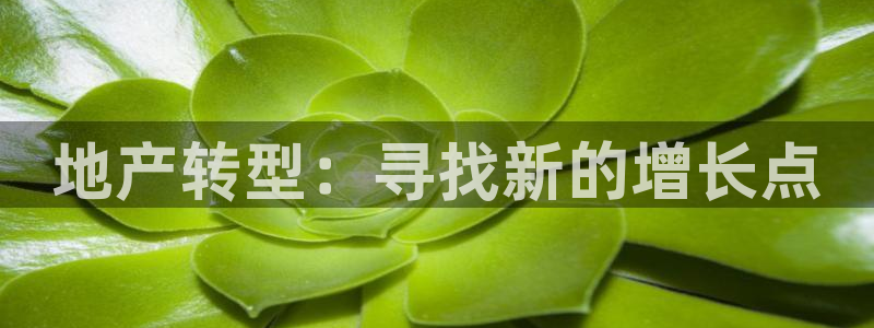 摩登7下载地址：地产转型：寻找新的增长点