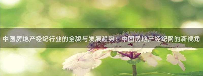 摩登7彩票平台是啥：中国房地产经纪行业的全貌与发展趋势：中国